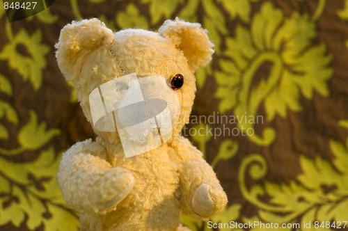 Image of Old Teddy Bear