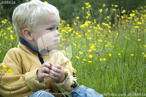Image of Little boy between grass and flowers