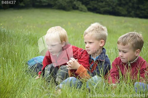 Image of Three Friends in the grass