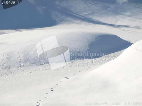 Image of Nature of winter.