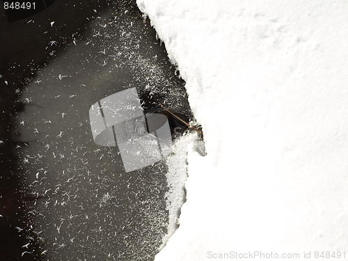 Image of Nature of winter.