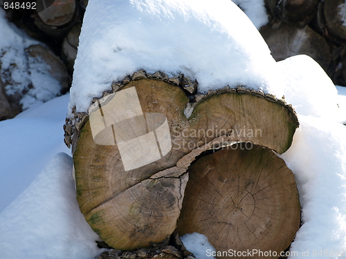 Image of Nature of winter.