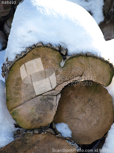 Image of Nature of winter.