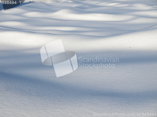 Image of Nature of winter.