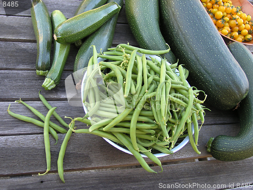 Image of Fresh produce from the garden.