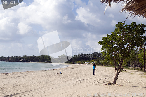 Image of picnic center beach caribbean sea corn island nicaragua