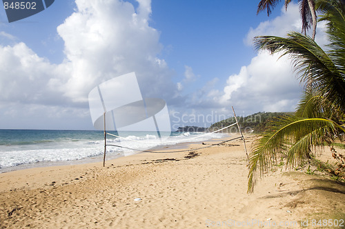 Image of coconut tree desolate beach long bag corn island nicaragua
