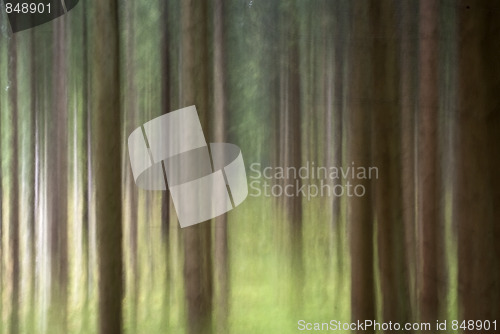 Image of Abstract Nature Background 
