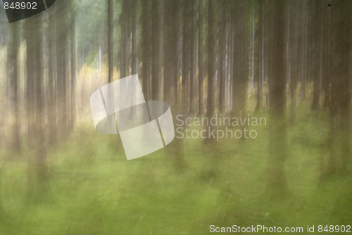 Image of Abstract Nature Background 