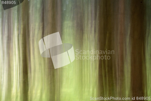 Image of Abstract Nature Background 
