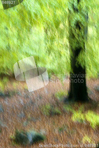 Image of Abstract Nature Background 