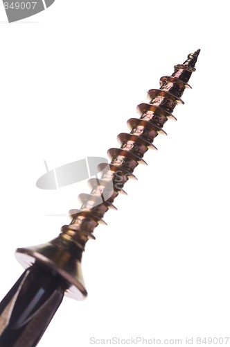 Image of Screwdriver and screw