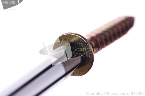 Image of Screwdriver and screw