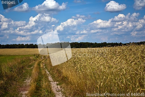 Image of Rural landscape