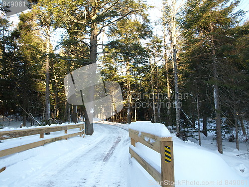 Image of Nature of winter in the forest.
