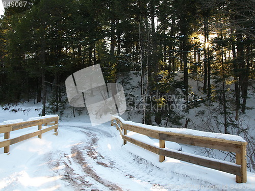 Image of Nature of winter in the forest.