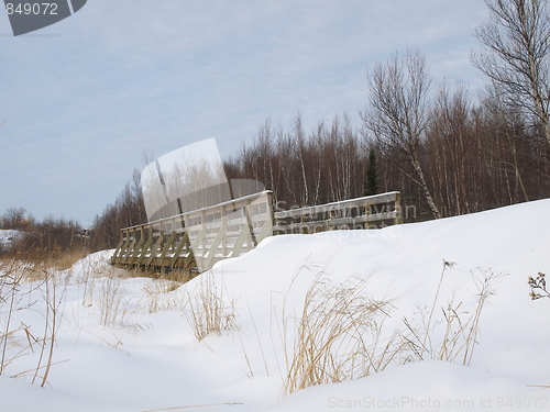 Image of Nature of winter in the forest.