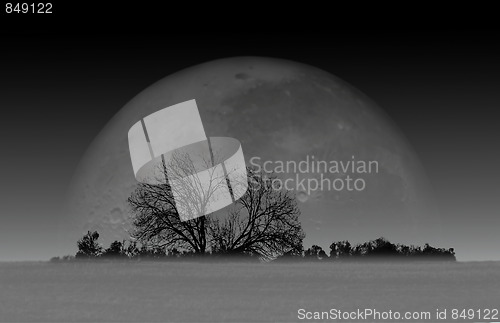 Image of Moonrise