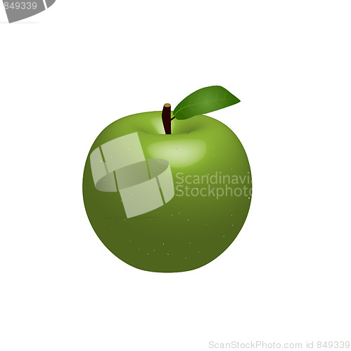 Image of Vector Apple