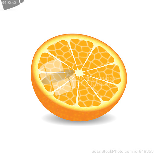 Image of Orange Illustration