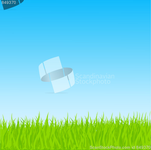 Image of Vector Grass