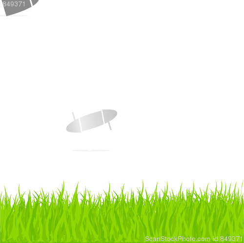 Image of Vector Grass