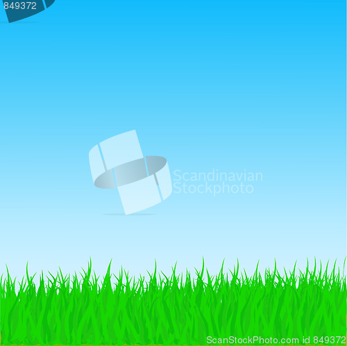 Image of Vector Grass