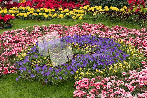 Image of Colorful