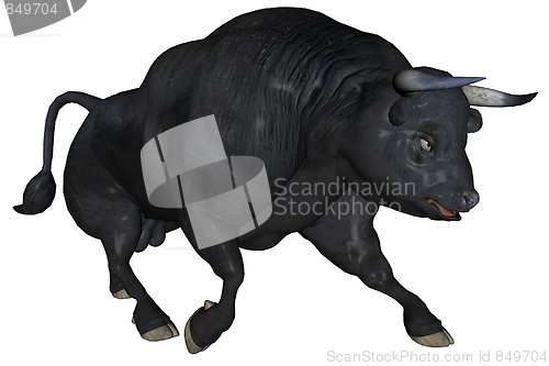 Image of Black bull