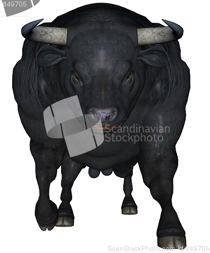 Image of Black bull