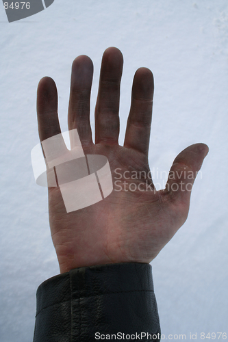 Image of Hand