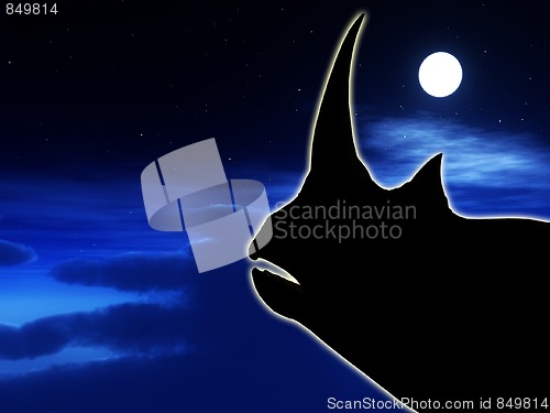 Image of Rhino At Night