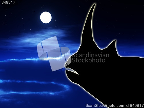 Image of Rhino At Night