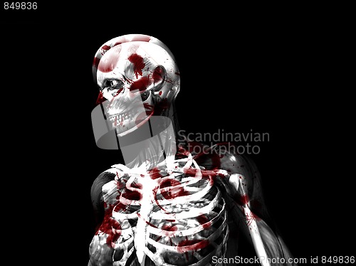 Image of Anatomy Of Blood