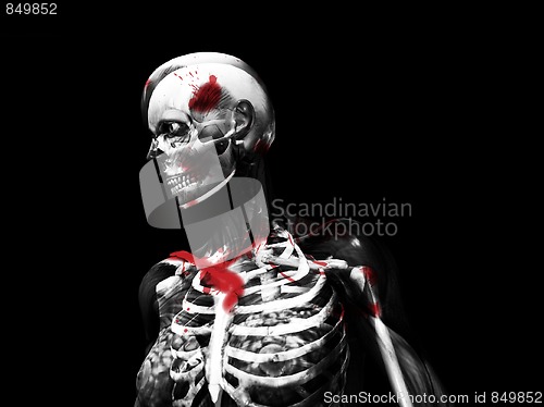 Image of Anatomy Of Blood