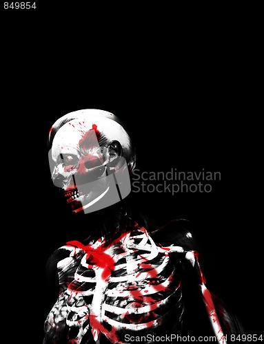 Image of Anatomy Of Blood