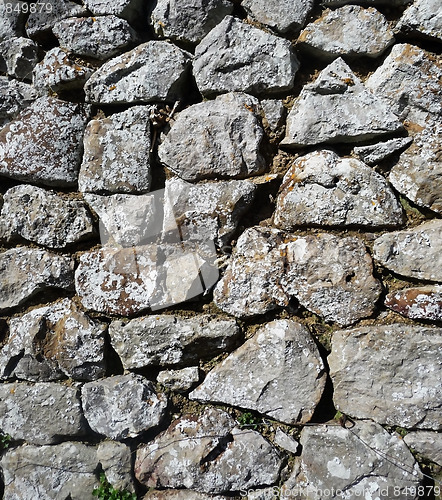 Image of Dry Stone Wall