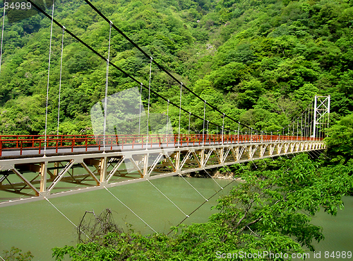Image of The Bridge