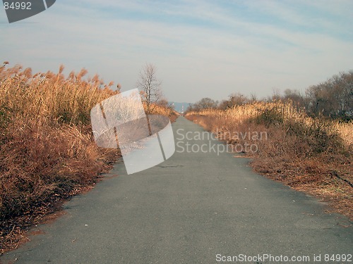 Image of Road In The Dusk