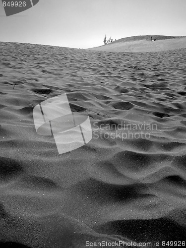 Image of Close Up Of Sand Dunes 