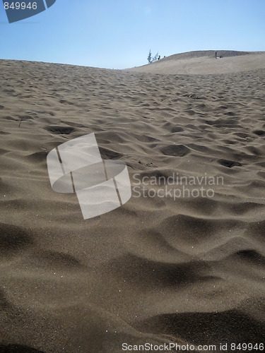 Image of Close Up Of Sand Dunes 