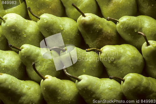 Image of Bartlet pears lined up