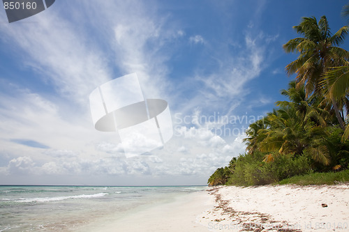 Image of Tropical Beach