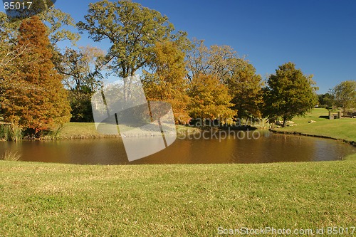 Image of A stroll in the park