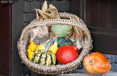 Image of Vegetable Basket