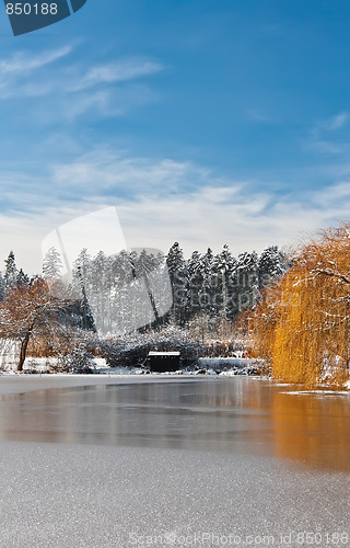 Image of Frozen Sea