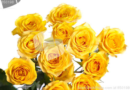 Image of Bunch of roses