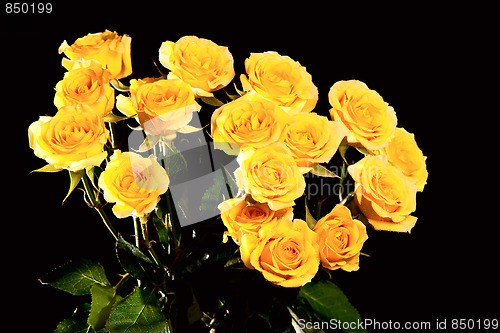 Image of Bouquet of yellow roses