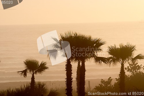 Image of A walk along the beach