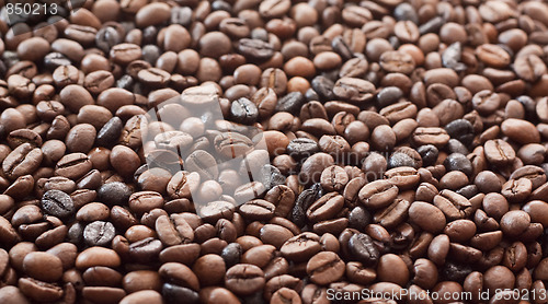 Image of Roasted Coffee Beans
